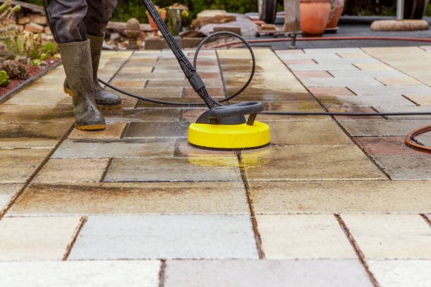Best Animal Enclosure Cleaning  in Lykens, PA